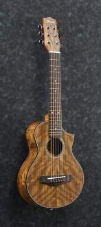 Ibanez EWP14WB Akustik Gitar