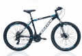 Suzico Dakar WM 400 26 resim