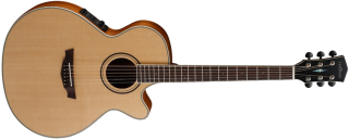 Parkwood PW470 Elektro Akustik Gitar