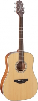 Takamine GD20 Akustik Gitar