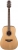 Takamine GD20 Akustik Gitar