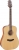 Takamine GD20 Akustik Gitar