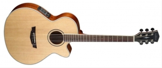 Parkwood PW370M Elektro Akustik Gitar