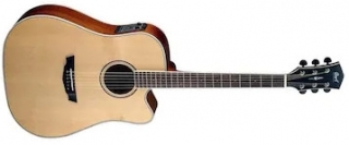 Parkwood PW360M Elektro Akustik Gitar