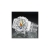 Casio G-Shock GA-110FRG-7ADR Kol Saati