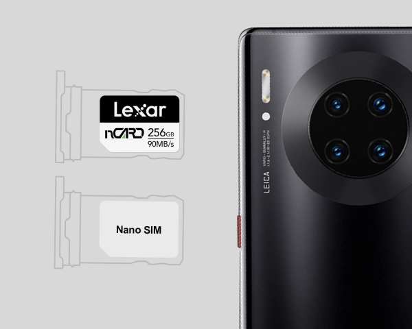 Lexar nCARD nCARD (256 GB)