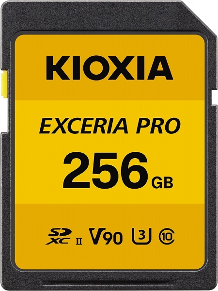 Kioxia Exceria Pro SD (256 GB)