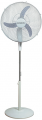 Johnson Piantana 56 resim