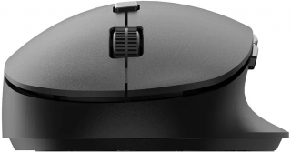 Philips SPK7507B Mouse