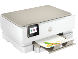 HP Envy 7224E Yazıcı
