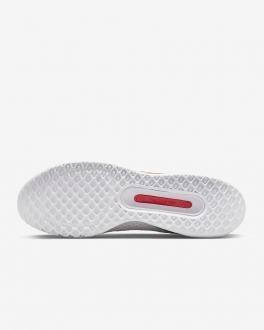 Nike Court Zoom Pro Erkek