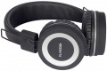 Magicvoice EV-20 resim