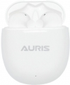Auris ARS-TW02