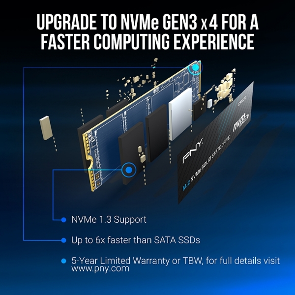 PNY CS1030 SSD (250 GB)