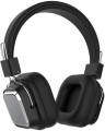 ACL SD-1003 resim