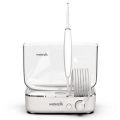 Waterpik WF-04CD010-1 resim
