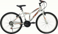 Belderia Tec Strong 24 resim