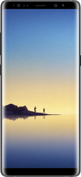 Samsung Galaxy Note 8 (Tek Hat / 64 GB)