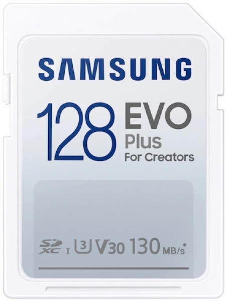 Samsung Evo Plus SD (128 GB)