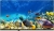 Beko B32K 590G HD Ready (HD) TV