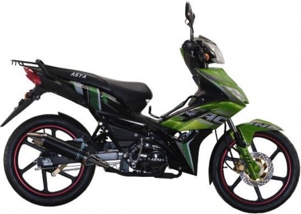 Asya Thunder Cub