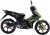 Asya Thunder Cub