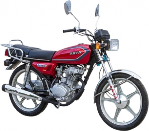 Asya Kedi Lux Commuter