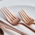 Karaca Jupiter Shiny Rosegold Kutulu 60 Parça Çatal Kaşık Bıçak Takımı
