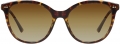 Bvlgari 0BV8235-504/T5 resim