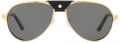 Cartier CT0296S-001 resim