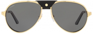Cartier CT0296S-001