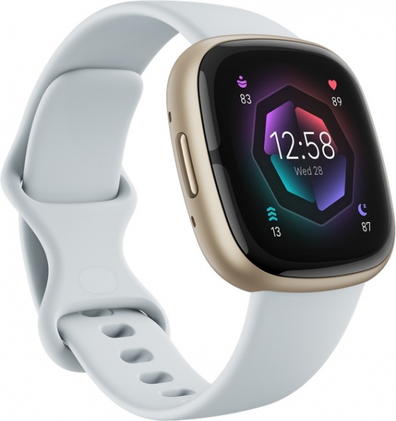 Fitbit Sense 2 Akıllı Saat