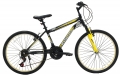Belderia Vision Tiger 24 resim