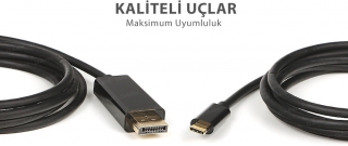 Dark USB 3.1 Type-C to DisplayPort Dönüştürücü