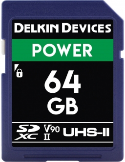 Delkin Devices Power SD