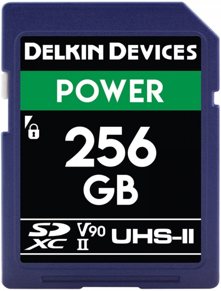 Delkin Devices Power SD (256 GB)