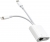Powermaster Lightning Type-C to Ethernet Lightning Dönüştürücü