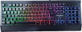 Polygold K12 resim