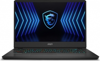 MSI Vector GP66HX 12UGS-210TR Laptop
