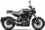 Husqvarna Svartpilen 401 Klasik