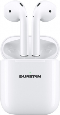 Dunspin DS-T02S resim