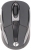 Vcom DM504 Mouse