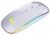 Paleon PLO-E1300 Mouse