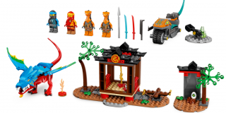 LEGO Ninjago 71759 Dragon Temple