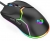 NightSilver KillJoy Mouse