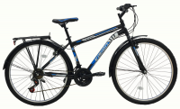 Belderia Champion 24 resim