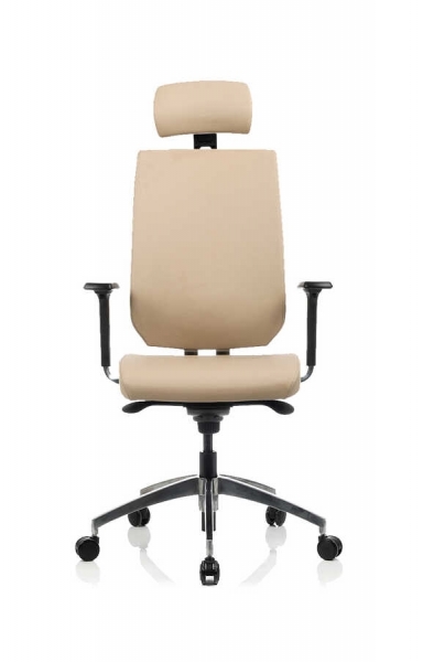 Bürosit Daphne 9 Alüminyum Yönetici Koltuğu
