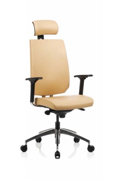 Bürosit Daphne 9 Alüminyum Yönetici Koltuğu