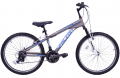 Falcon Garcia 24 resim