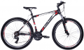 Falcon Leonardo 26 resim